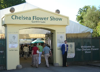 The Chelsea Flower Show